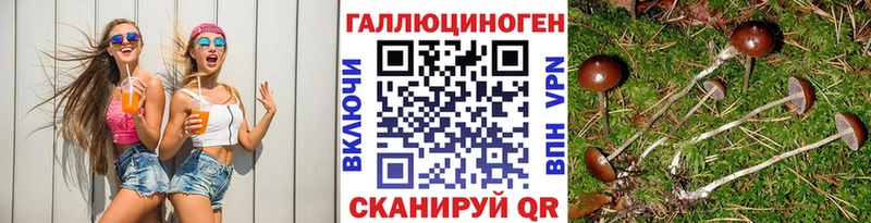 МЕГА ONION  Мосальск  Псилоцибиновые грибы прущие грибы 
